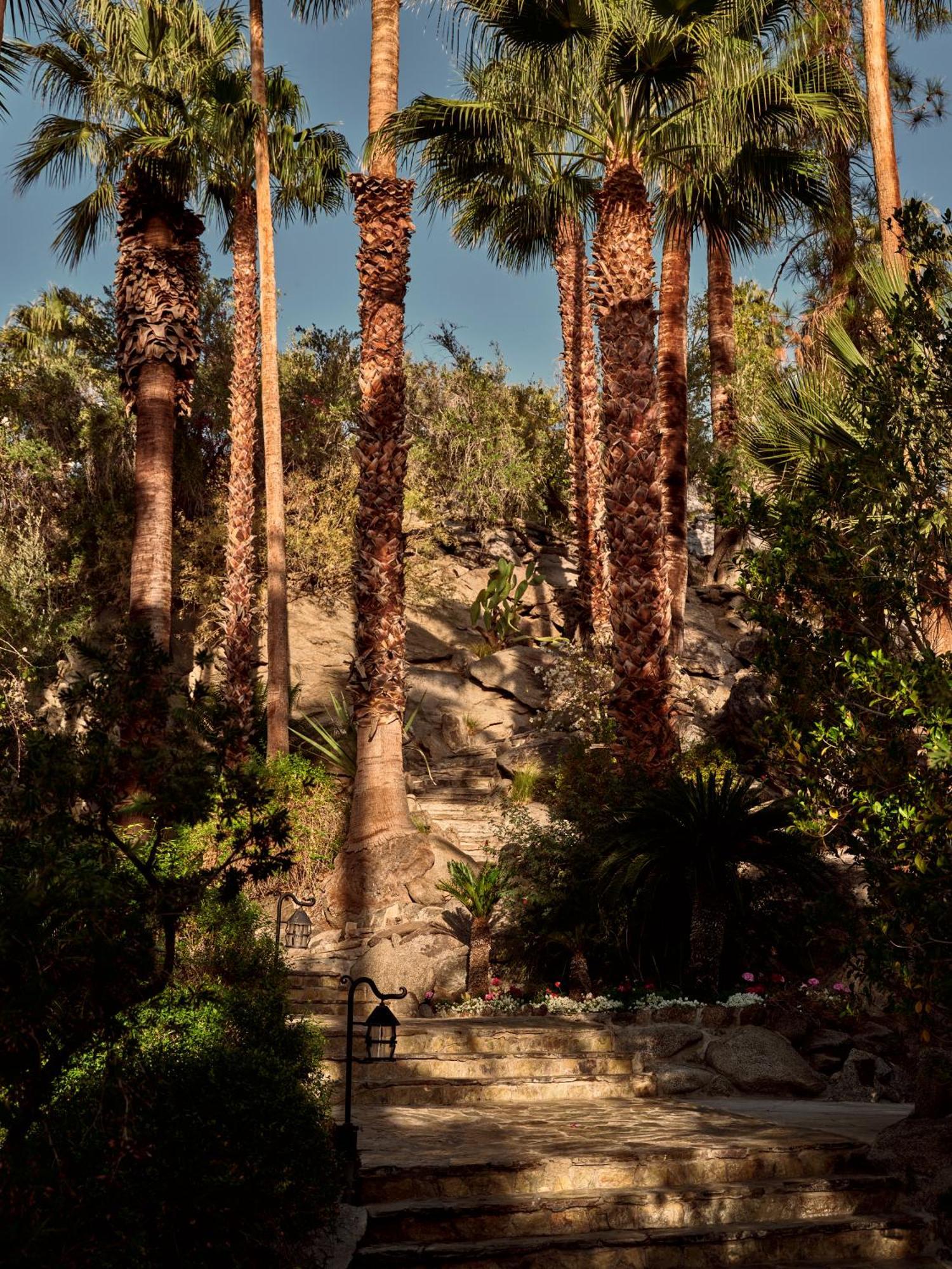 The Willows Palm Springs Exterior foto