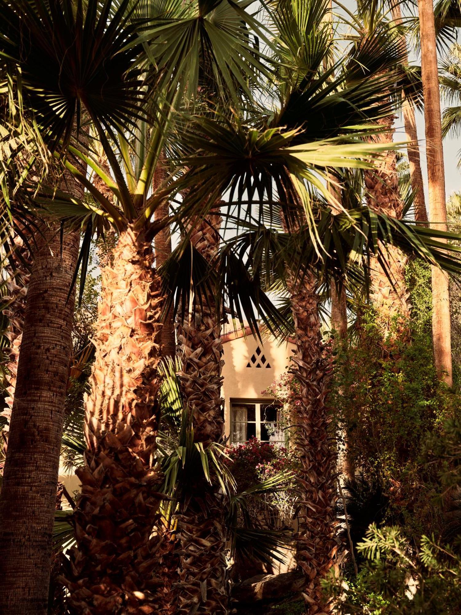 The Willows Palm Springs Exterior foto